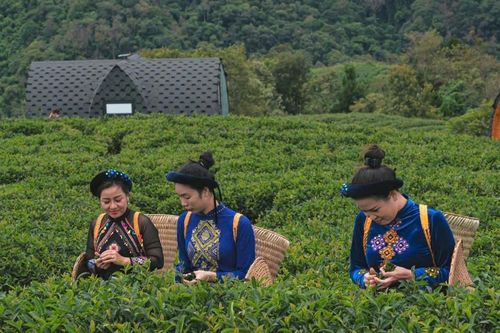 Cao Bằng: Chủ thể sản xuất nhận thức được giá trị của sản phẩm OCOP