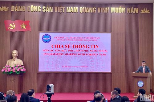 Các tổ chức phi chính phủ nước ngoài đóng góp tích cực cho sự phát triển của Việt Nam