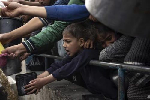 WHO: Sự tuyệt vọng gia tăng do nạn đói ở các bệnh viện Gaza