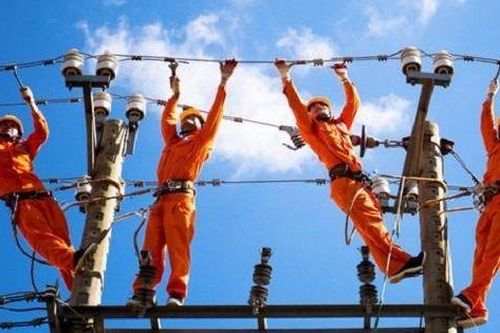 Phó Giám đốc Điện lực Bình Thuận được ủy quyền điều hành công ty