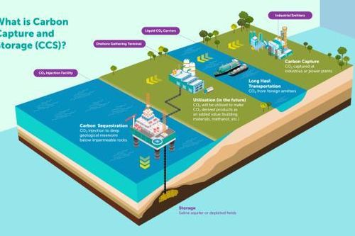 Thu hồi carbon: Một công cụ thiết yếu hay chiêu đánh lạc hướng đầy tốn kém?