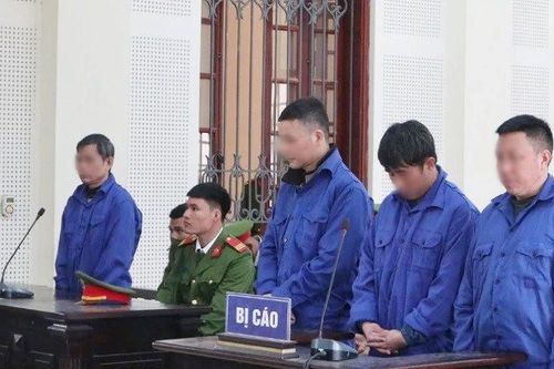 Lĩnh án chung thân vì mua bán trái phép chất ma túy