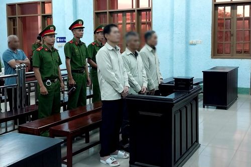 Hoãn phiên tòa phúc thẩm vụ 'Hủy hoại rừng' ở Gia Lai