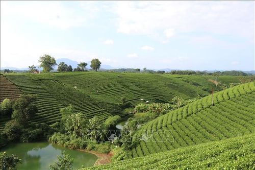 Thái Nguyên: Có thêm hai huyện về đích nông thôn mới