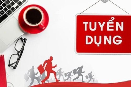 Trung tâm Phụ nữ và Phát triển (CWD) thông báo tuyển dụng