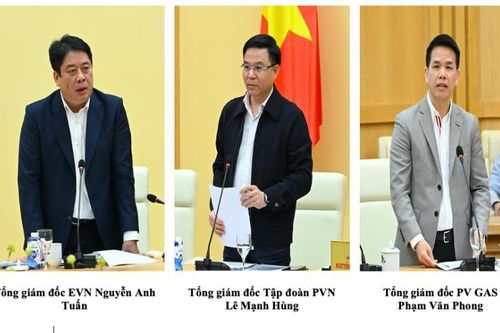 Lãnh đạo PVN, EVN, PVGas đề xuất gì để phát triển điện khí, điện gió ngoài khơi?