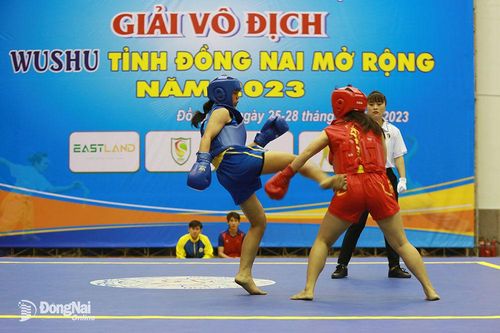 10 đơn vị tham dự giải vô địch Wushu Đồng Nai mở rộng năm 2023