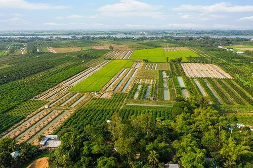 Phát triển nông nghiệp theo hướng an toàn, bền vững