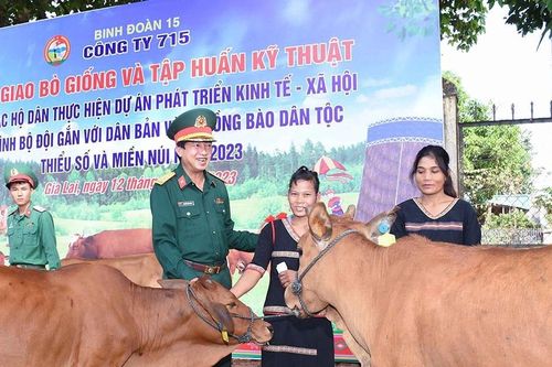 Sinh kế cho người dân vùng biên Gia Lai