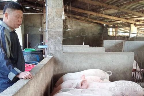 Người nông dân phát triển kinh tế từ mô hình tổng hợp