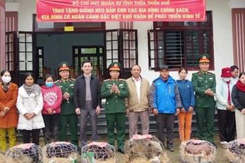Thực hiện 3 chương trình mục tiêu quốc gia khu vực biên giới