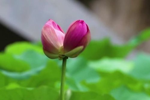 Băn khoăn về giữ giới thứ ba