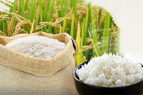 Philippines gia hạn cắt giảm thuế nhập khẩu gạo