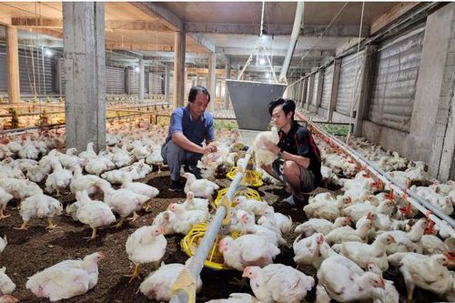 Đồng Nai nâng cao vai trò của HTX trong xóa đói, giảm nghèo