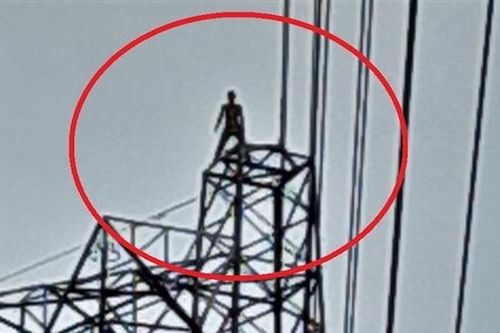 Nhậu say, leo lên đỉnh cột điện cao thế 500kV đứng...hóng mát