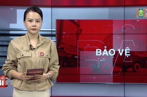 Bản tin 141 | 26/12/2023