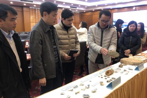 Báo cáo kết quả khai quật khảo cổ địa điểm trên địa bàn Hòa An và Thành phố