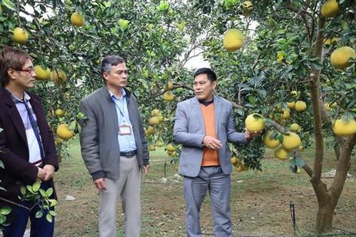 Chương Mỹ tập trung nâng cao đời sống người dân