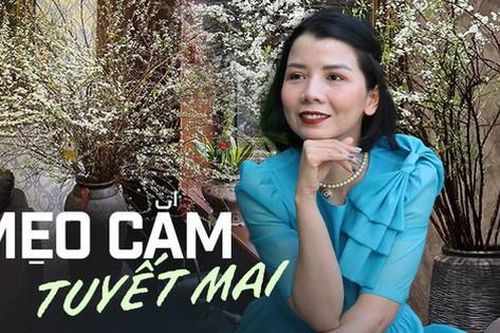 'Học lỏm' mẹ đảm Quảng Ninh cách cắm tuyết mai đơn giản nhưng thu về thành quả mĩ mãn, đảm bảo nở bung, trắng bừng ngày Tết
