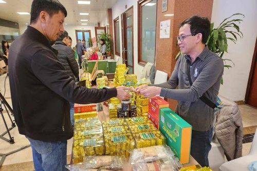 Mắm tôm, miến dong OCOP 'xuất ngoại'