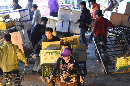 Mưu sinh trong đêm lạnh
