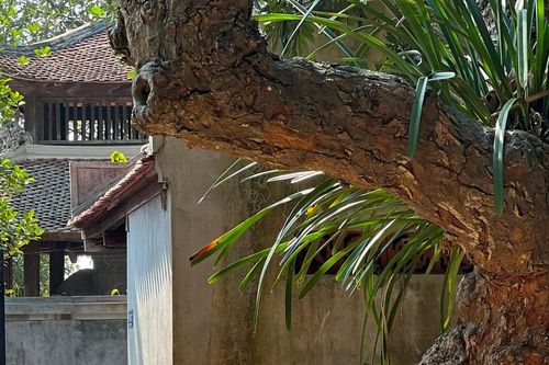 Ngoài hiên nắng về