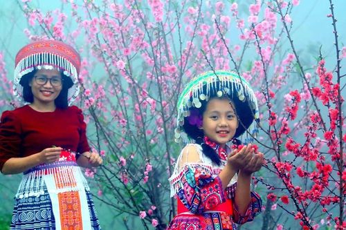 Rực rỡ sắc hoa trên đèo Pha Đin
