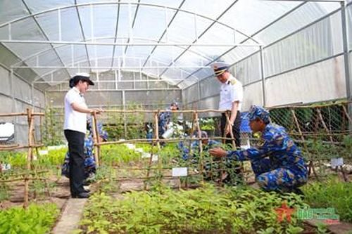 Cải tạo cát san hô, phát triển hệ sinh thái ở Trường Sa