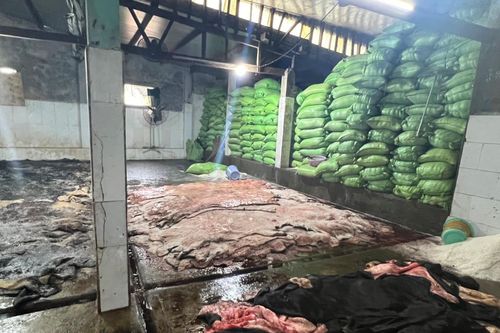 Da bò không rõ nguồn gốc