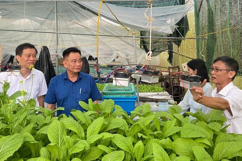 Nâng chất bài báo khoa học ở Đồng bằng sông Cửu Long