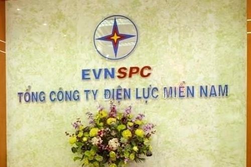 Tổng công ty Điện lực miền Nam bị thanh tra