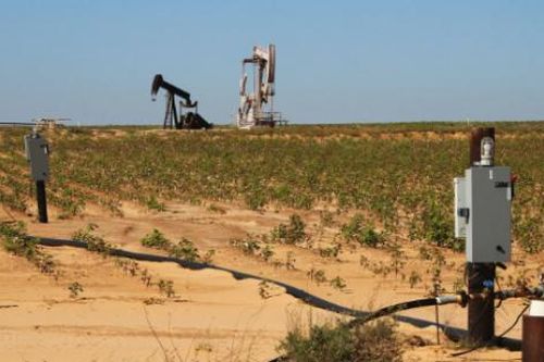 Big oil bước vào năm 2024 trong bối cảnh ngành dầu khí Mỹ được hợp nhất