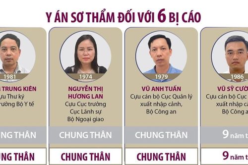 Vụ chuyến bay giải cứu: Tuyên y án sơ thẩm tù chung thân đối với 3 bị cáo
