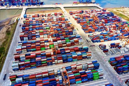 Từ 15/2/2024, điều chỉnh giá dịch vụ bốc dỡ container cảng biển