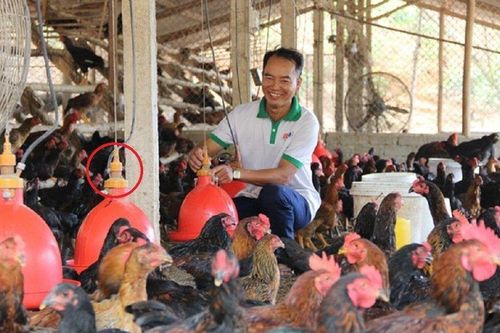 Anh nông dân 'tay không làm giàu' nhẹ nhàng thu lãi 2,4 tỷ đồng
