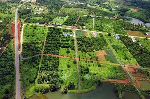 Đắk Nông đưa 48 dự án ra khỏi danh mục thu hồi đất
