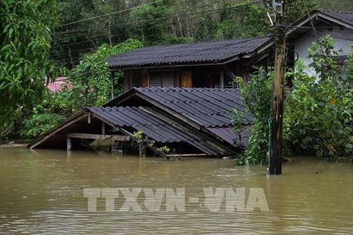 Ít nhất 6 người thiệt mạng do lũ lụt tại miền Nam Thái Lan