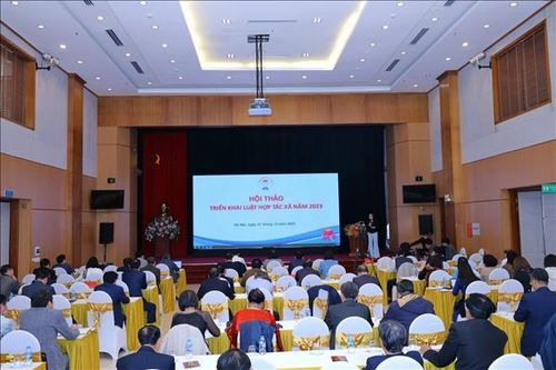 Khắc phục điểm nghẽn để hợp tác xã phát triển bền vững