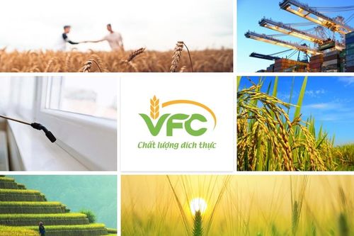 Công ty Khử trùng Việt Nam bị phạt và truy thu hơn 3,1 tỷ đồng do khai sai thuế