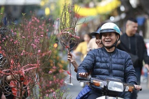 Hà Nội tổ chức 83 điểm chợ hoa Xuân phục vụ Tết Nguyên đán Giáp Thìn 2024