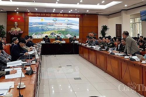 Năm 2024, xuất khẩu gỗ và lâm sản đặt mục tiêu đạt 17,5 tỷ USD