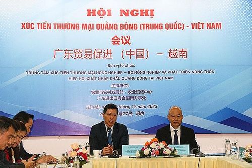 Điểm tên các mặt hàng nông sản Việt chiếm ưu thế khi xuất khẩu sang Quảng Đông (Trung Quốc)