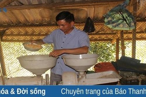 Nâng cao đời sống cho đồng bào Mông