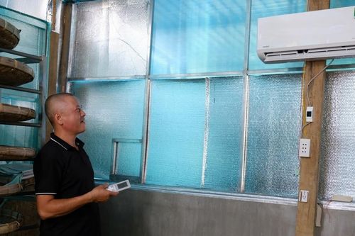 Nông dân Đạ Tẻh thử nghiệm nuôi tằm trong nhà lạnh