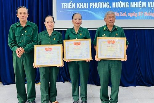 Gia Lai: 13 tập thể, cá nhân được nhận bằng khen của Trung ương Hội Cựu TNXP Việt Nam