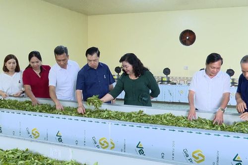 Lan tỏa những tấm gương tự học thành tài