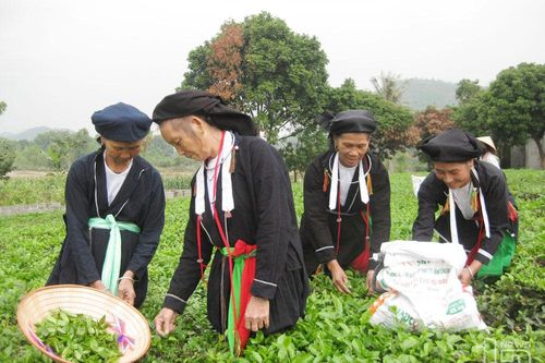 Trang phục truyền thống: Nét đặc trưng văn hóa của người Sán Dìu