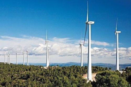 Vụ trồng 24 trụ điện gió ngoài vị trí: Xử lý trên tinh thần hỗ trợ, tháo gỡ vướng mắc cho NĐT