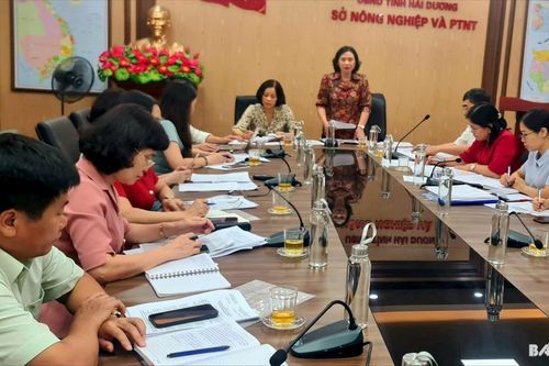 Bài cuối: Lựa chọn sản phẩm chủ lực để nâng cao giá trị