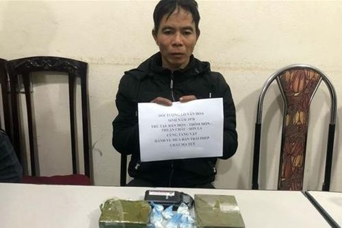 Hai trai bản rủ nhau đi bán ma túy